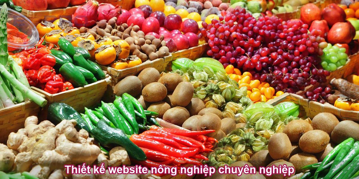 Thiết kế website nông nghiệp chuyên nghiệp tạo dựng uy tín 