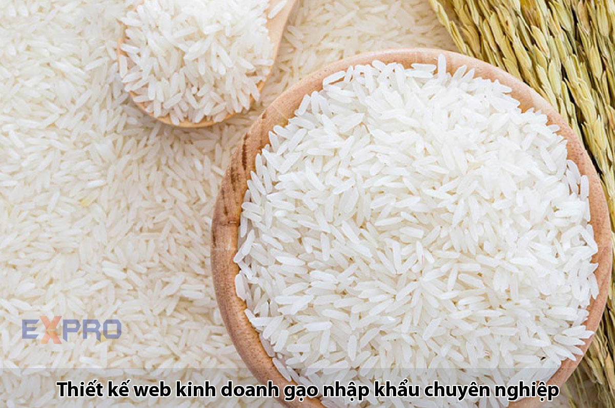 Thiết kế website kinh doanh gạo nhập khẩu